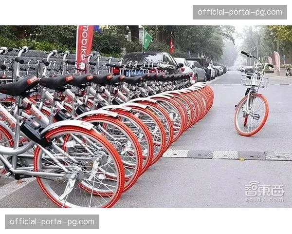 深度报道：自行车文化如何重塑法国北部工业小镇的旅游经济